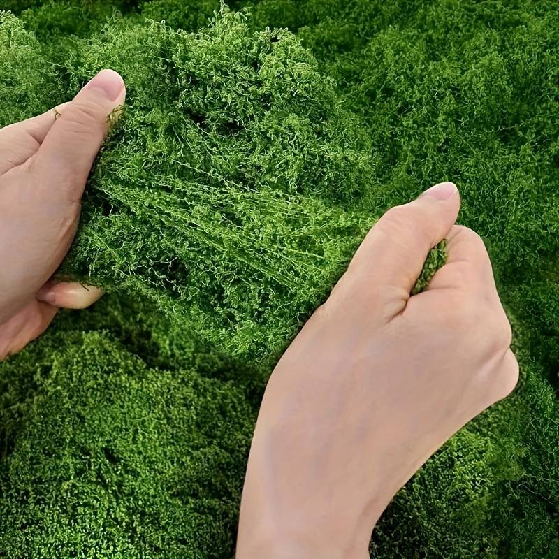 20' X 20' Faux Moss Mat for Pl - огляд і ціна Preserved Moss Sheet