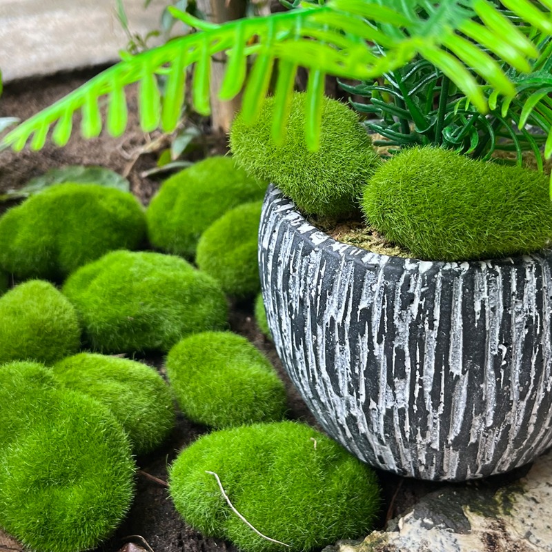 100/5PCS Artificial Moss Rock  - огляд і ціна Preserved Moss Sheet