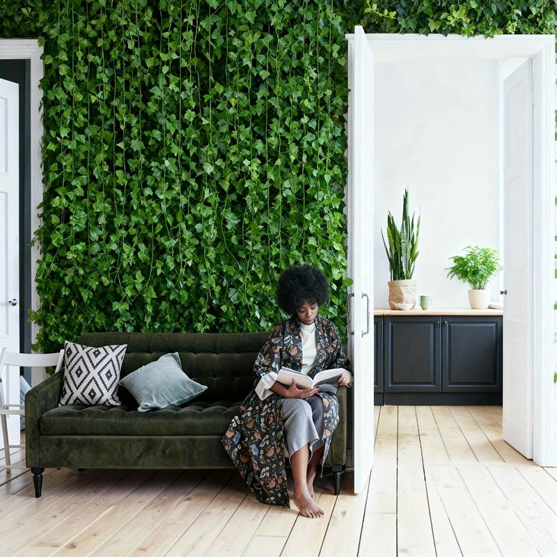 24 PCS Total 19m/755inch Ivy G - огляд і ціна Preserved Moss Sheet