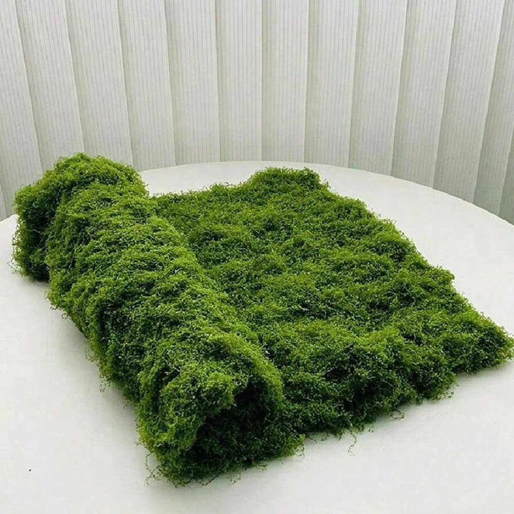 1*1m Fake Moss DIY Crafts Gras - огляд і ціна Preserved Moss Sheet
