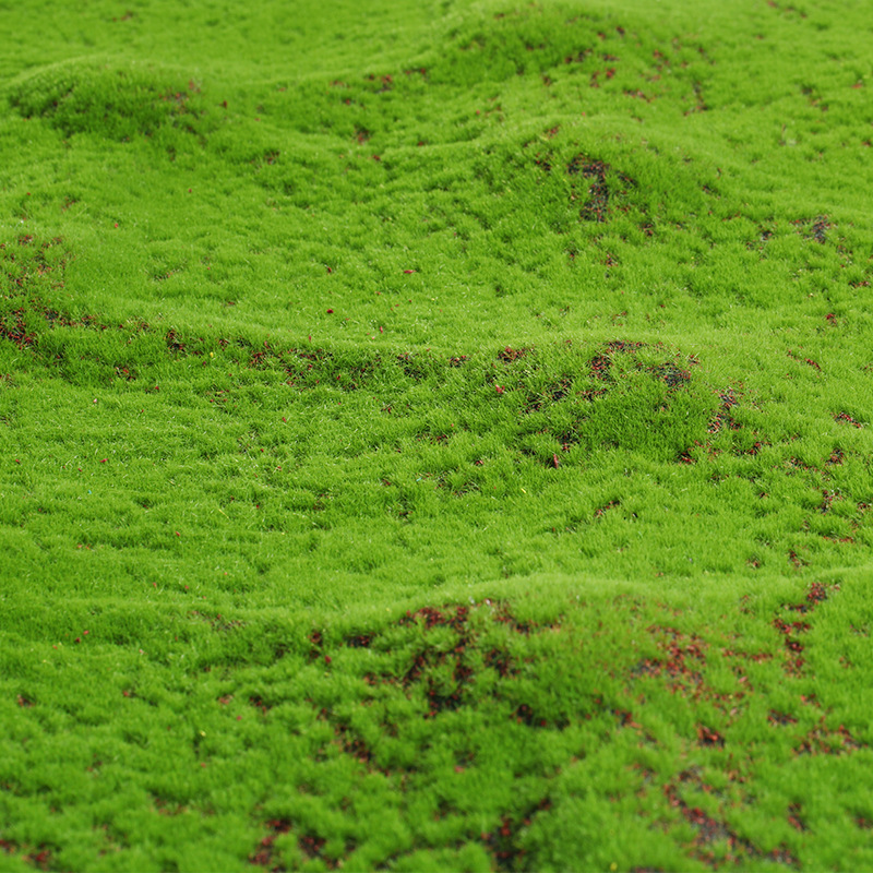 Artificial Green Plants Eterna - огляд і ціна Preserved Moss Sheet