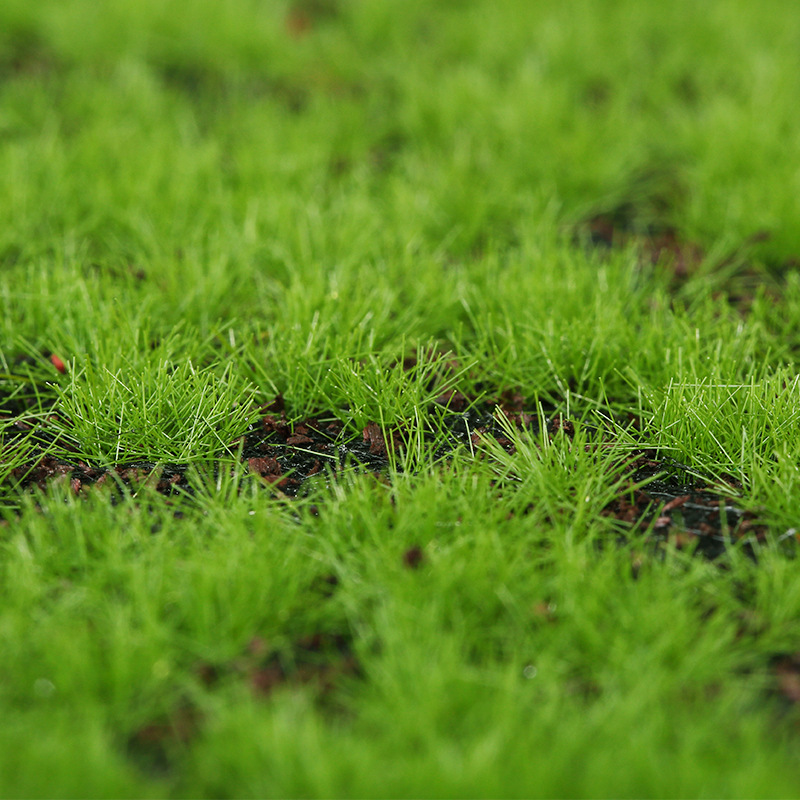 Artificial Green Plants Eterna - огляд і ціна Preserved Moss Sheet